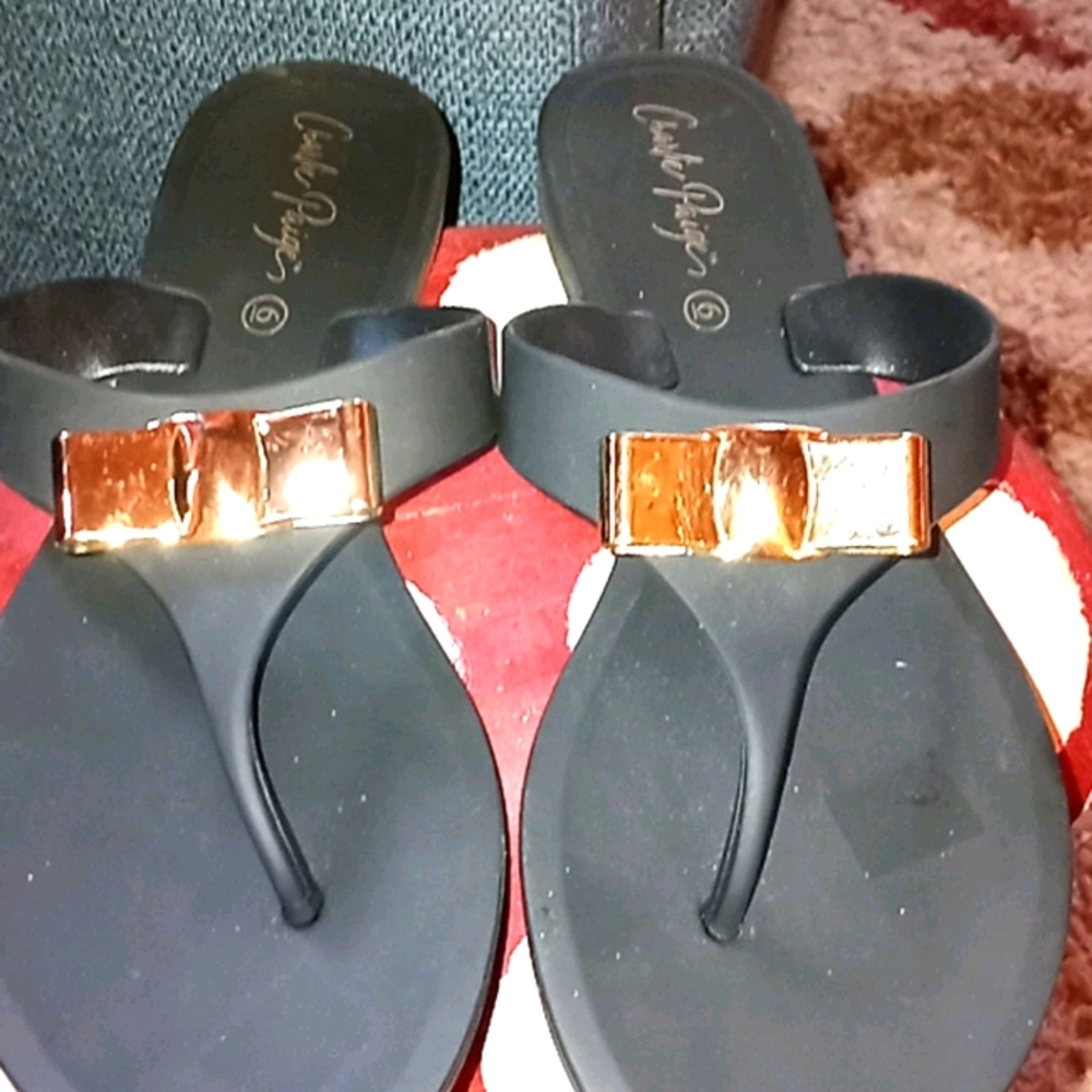 NWOT Charlie Paige flip flops